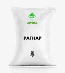 Рапс озимый Рагнар, п.е. 1500 тыс. семян (Lembke)