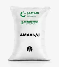 Кукурудза Амальді, п.о. 80 тис. насінин (Saatbau)