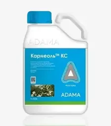 Фунгицид Карнеоль, 5 л (Adama)