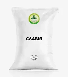 Фасоль Славия, т (Институт кормов и с/х Подолья)