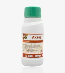Інсектицид Актор, 250 г (Rangoli limited)