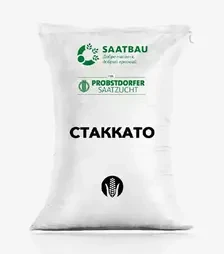 Кукурудза Стаккато, п.о. 80 тис. насінин (Saatbau)