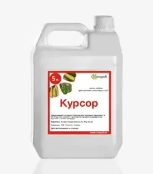Фунгіцид Курсор, 5 л (Rangoli limited)
