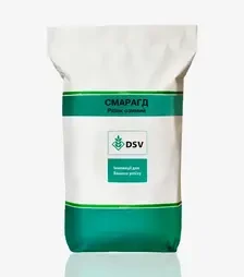 Ріпак озимий Смарагд, п.о. 1 500 тис. насінин (DSV)