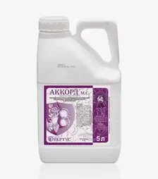 Фунгіцид Аккорд, 5 л (Нертус)