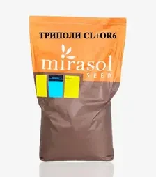 Соняшник Триполи CL+OR6, п.о. 150 тис. насінин (Mirasol Seed)