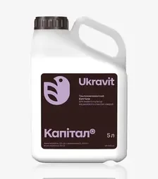 Фунгицид Капитал, 5 л (Ukravit Science Park)