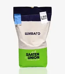 Ячмінь ярий Schiwago (Шиваго), т (Saaten Union)