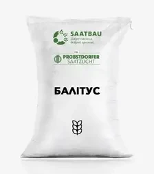 Пшениця озима Балітус, т (Saatbau)