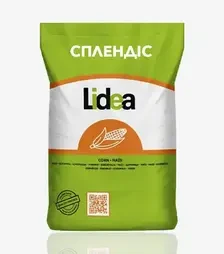 Кукуруза Сплендис, п.е. 80 тыс. семян (Lidea)