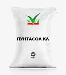 Подсолнечник Пунтасол КЛ, п.е. 150 тыс. семян (ViterraSeed)