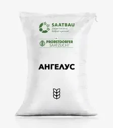 Пшениця озима Ангелус, т (Saatbau)