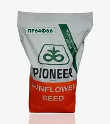Подсолнечник ПР64Ф66, п.е. 150 тыс. семян (Pioneer)