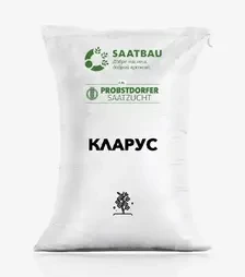 Ріпак озимий Кларус, п.о. 1 500 тис. насінин (Saatbau)