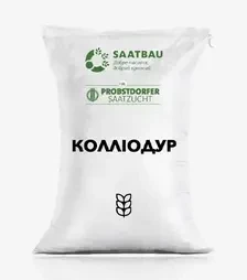 Пшениця озима Колліодур, т (Saatbau)