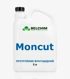 Протруйник Монкат, 5 л (Belchim)