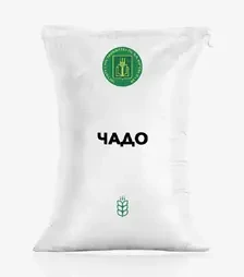Пшеница оврага Чадо, т (Институт В.Я. Юрьева НААН)