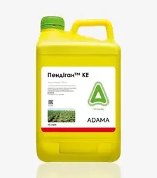 Гербіцид Пендіган, 10 л (Adama)