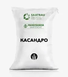 Кукурудза Касандро, п.о. 80 тис. насінин (Saatbau)