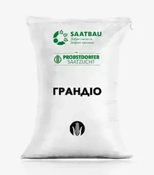 Кукурудза Грандіо, п.о. 80 тис. насінин (Saatbau)