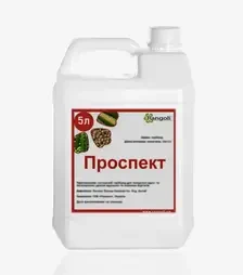 Гербіцид Проспект, 5 л (Rangoli limited)