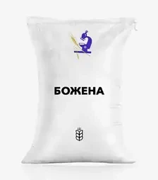 Пшеница оврага Божена, т (ИСМА НААН)