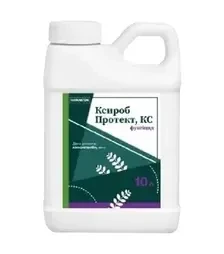 Фунгицид Ксироб Протект, 10 л (Новакем)