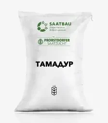Пшениця яра Тамадур, т (Saatbau)