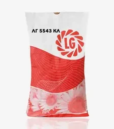 Соняшник ЛГ5543 КЛ, п.о. 150 тис. насінин (LG)