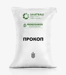 Овес ярий Прокоп, т (Saatbau)