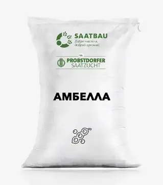 Соя Амбелла, т (Saatbau)