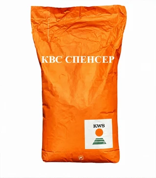 Пшениця озима Спенсер, 25 кг (KWS)