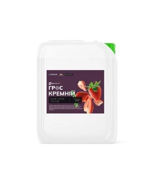 Стимулятор роста Гросс Кремний, 20 л (Ecoorganic)