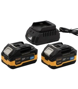 Зарядное устройство PROCRAFT Turbo PBC-SET 2+2 АКБ 20/4 (030266)
