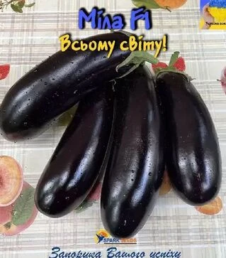 Семена баклажана Мила F1, п.е. 1 тыс семян (Spark Seeds)
