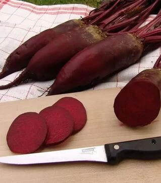 Семена свеклы Монорубра, 10 кг (Moravoseed)