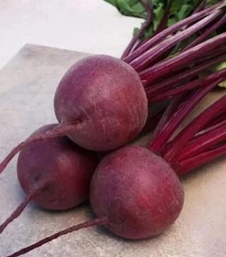 Семена свеклы Привилегия F1, п.е. 25 тыс. семян, 2,5-3,2 калибр (Cora Seeds)