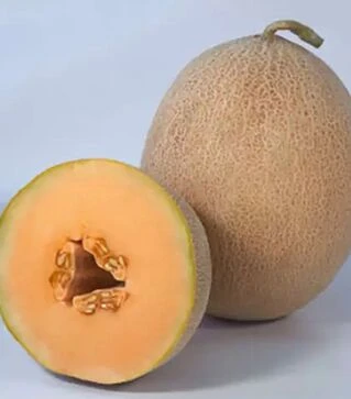 Семена дыни КС 6147, п.е. 1 тыс. семян (Kitano Seeds)
