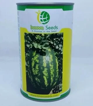 Насіння кавуна Кримсон Світ, 500 г (Innova Seeds)