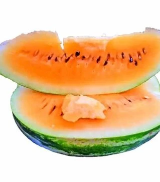 Семена арбуза Оранж Лакшери F1, п.е. 500 семян (Lark Seeds)