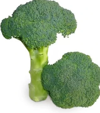 Семена капусты брокколи КС 355 F1, п.е. 1 тыс. семян (Kitano Seeds)
