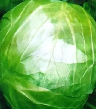 Насіння білоголової капусти Іюньська, 500 г (Satimex)
