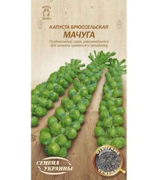 Семена брюссельской капусты Мачуга, 5 г (Семена Украины)