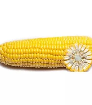 Семена кукурузы ГГС 3071 F1, п.е. 100 тыс. семян (Syngenta)