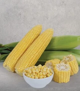 Семена кукурузы Макарон F1, п.е. 5 тыс. семян (May Seeds)