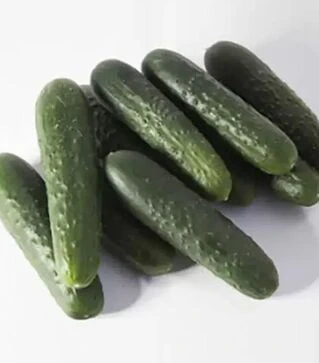 Насіння огірка КС 80 F1, п.о. 1 тис. насінин (Kitano Seeds)