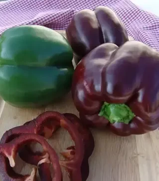 Семена перца Ингрид, 1 кг (Moravoseed)