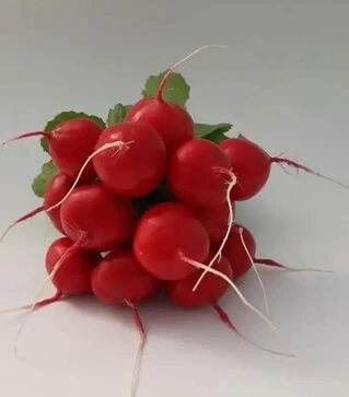 Семена редиса KS 1297 F1, 250 г (Kitano Seeds)