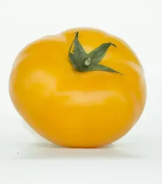 Семена томата Нукси F1, п.е. 500 семян (Kitano Seeds)