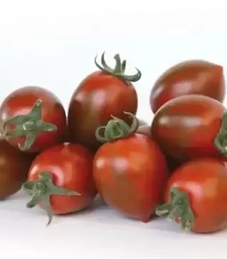 Семена томата KS 277 F1, п.е. 500 семян (Kitano Seeds)